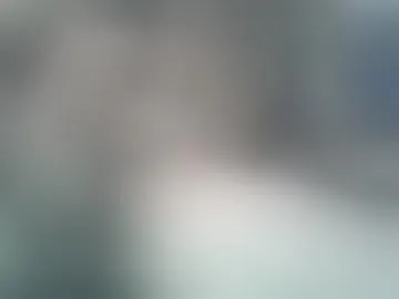 mitsh838354425