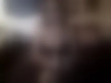 mizzkatt
