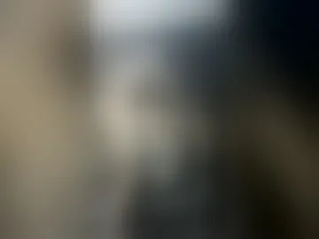 moikanocrazy33