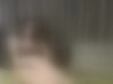 mollybeautys