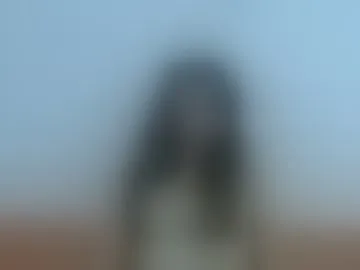 monicamartines