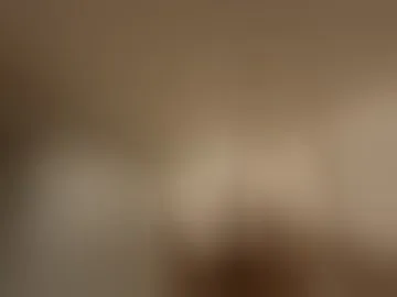 mslabwc95