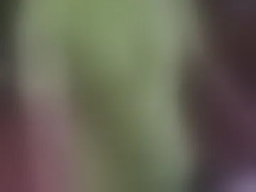 myrares