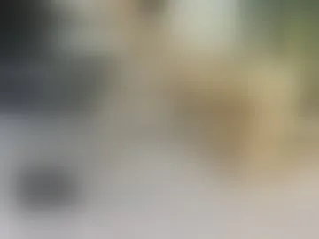 natalia_29