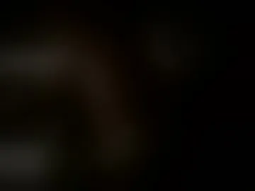 nattydread_333
