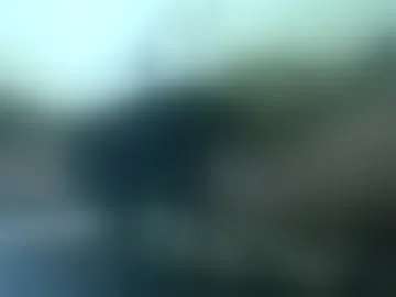 newtyy