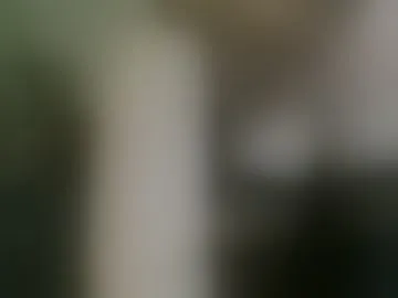 nixvix88