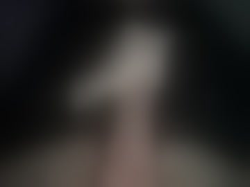 njcollegecock