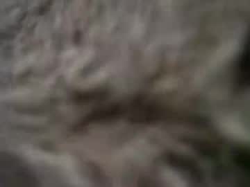 no_shroom_head