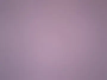 noo_woords