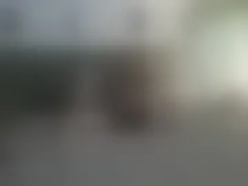 noreaster27