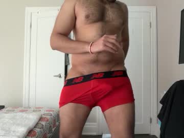 northsidebull