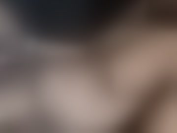 novlec