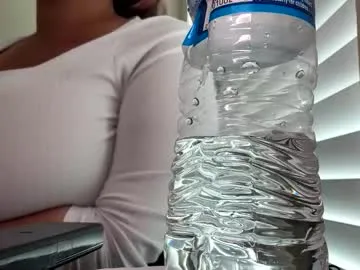 paisleehaze