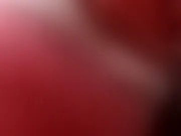 papabearbackdoor