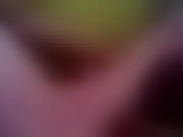 partyguy365
