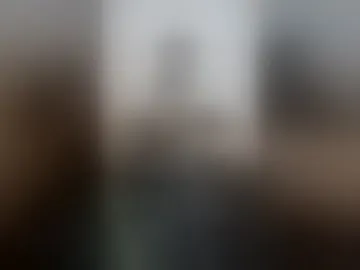 pauttroberto84