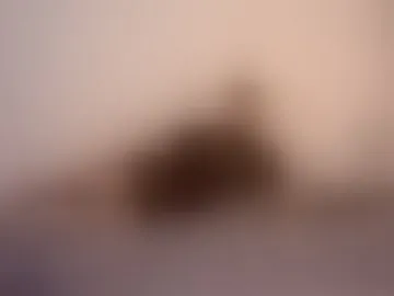 perfectsin69