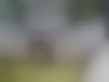 petecolossus