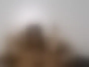 petitewild001