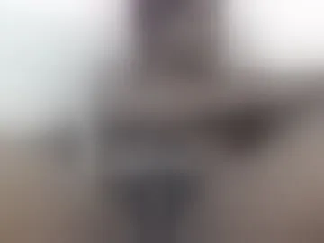 pettite_don