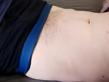 pillowartis
