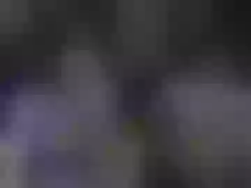 pixelrabittt