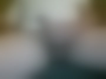 playful_pete_domain