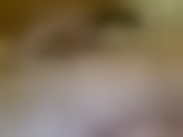 polleta69