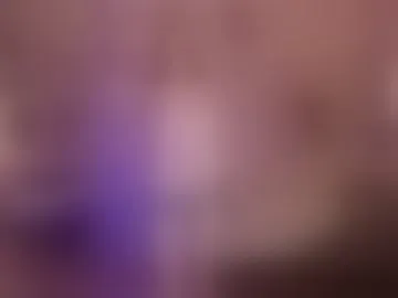 pollymayer