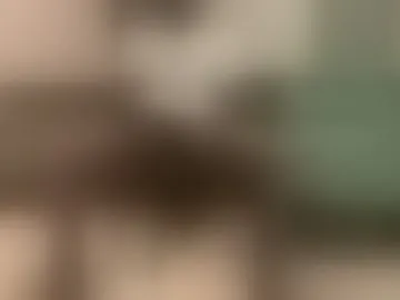 poppughdub