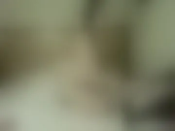 poppy_honey