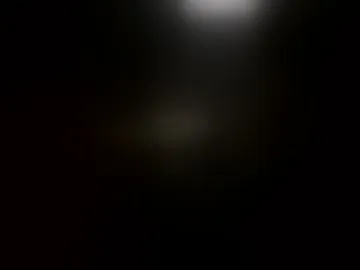 pornactor91