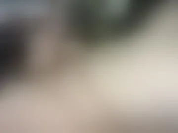 pornfrompain