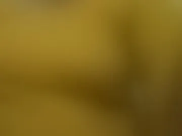 preet_punjaban02