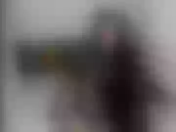 queen_findom1