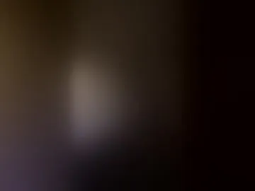 rafterb1