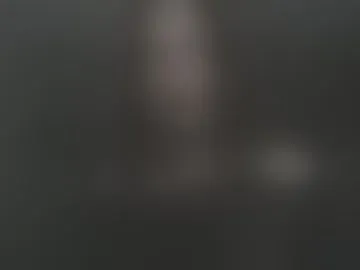 rebel_annet