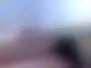 reneepandora