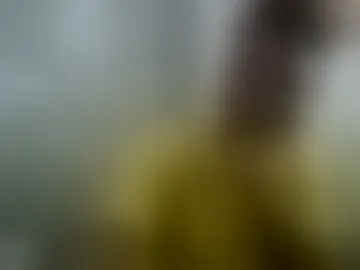 risna08