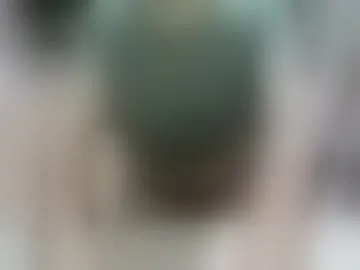 riyomorix
