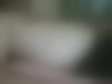 robertvg7