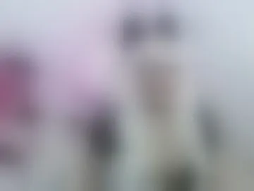 sakurafantasy