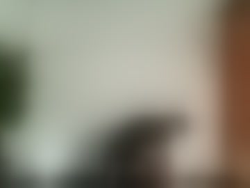 salo_luna