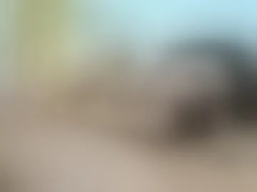 sam_moon1