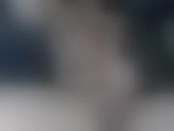 sasymaple
