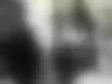 scarlett_rose123
