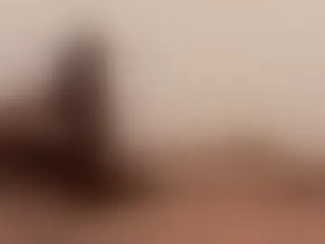secretbrowndick