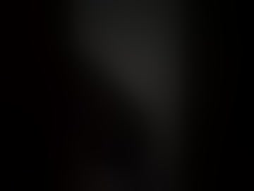 selva_05