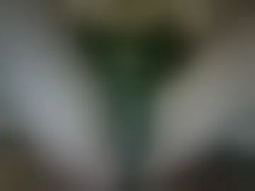 sexyerik99